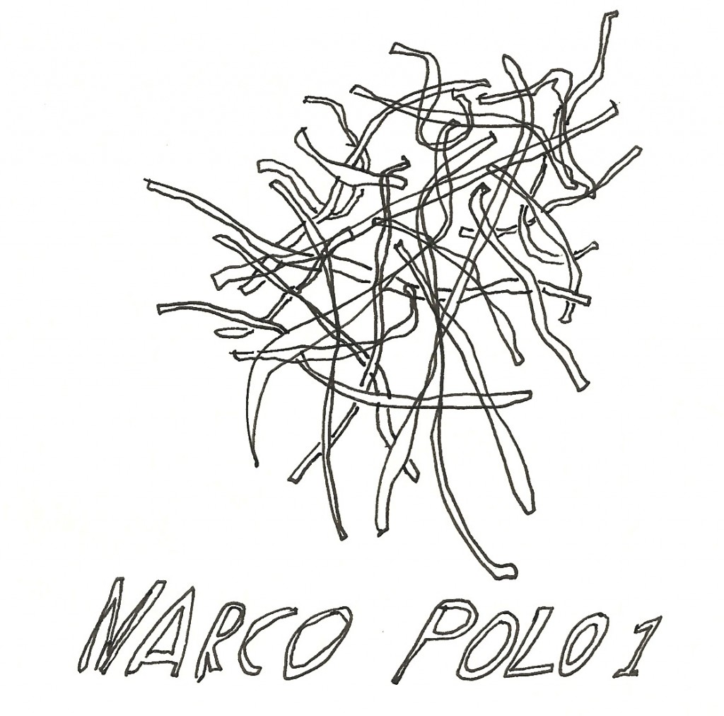 narco_polo_fabian_faltin